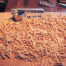 handmade pasta passatelli